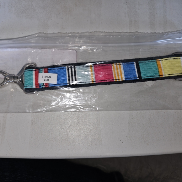 Unity One Key Fob with Multicolor Stripes - Picture 2 of 2